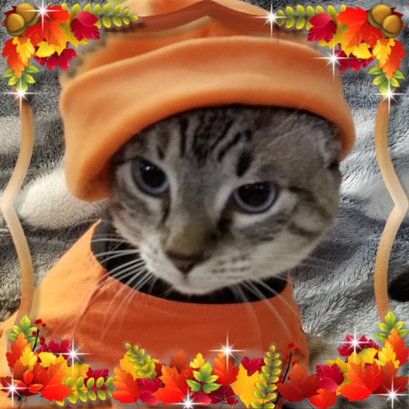 Meet your Posher, Retta - Picture 2 of 2